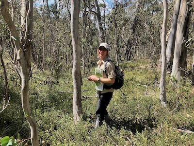 Course Setter David Baldwin